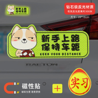 澳麟实习车贴汽车贴纸新手女司机上路创意标志专用装饰反光实习贴磁吸 【磁吸强反光】柴犬C款（送磁吸实习）买1发2