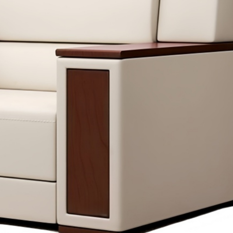 乐琪艺 会议沙发 单人位 张高清大图