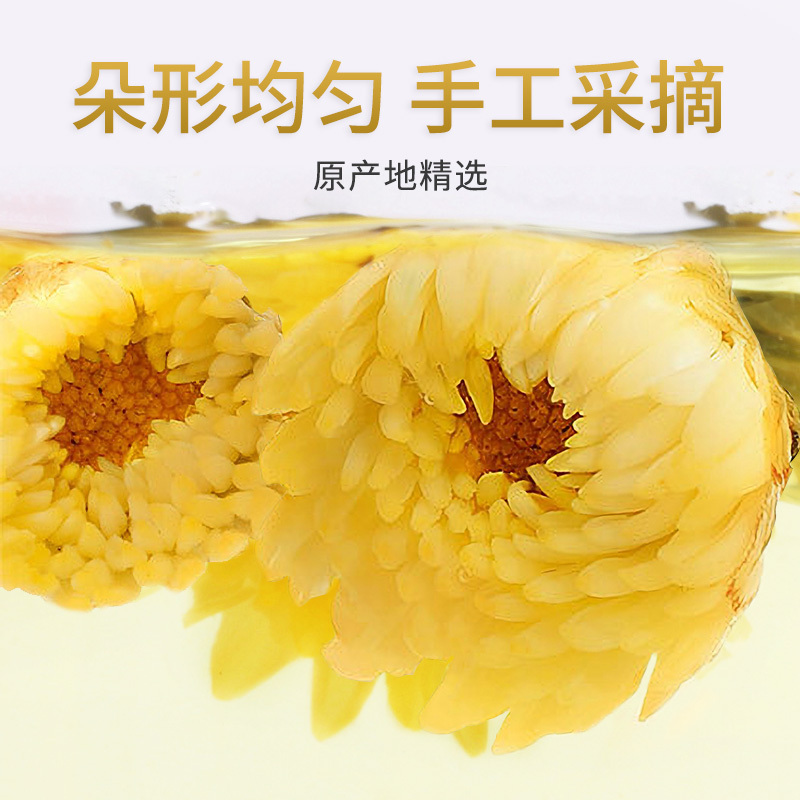 贡苑 茶叶 花草茶 胎菊花茶 桐乡胎菊花蕾杭白菊102g/罐