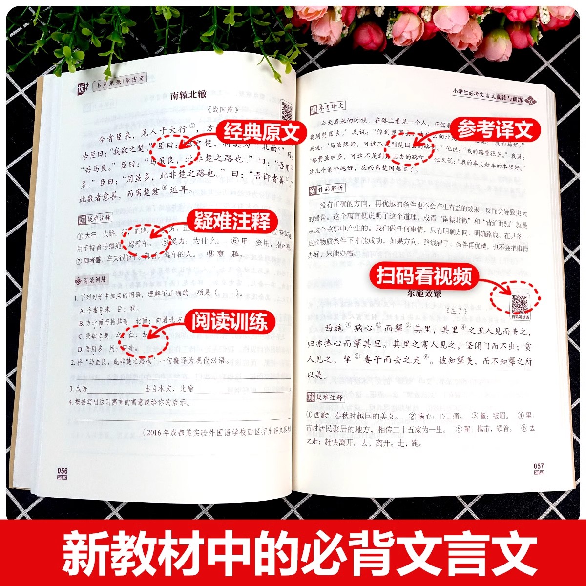 必考文言文 小学通用 [正版]2025新版 优+小学生必考文言文阅读与训练一年级二年级三年级四年级五年级六年级上册下册小高清大图