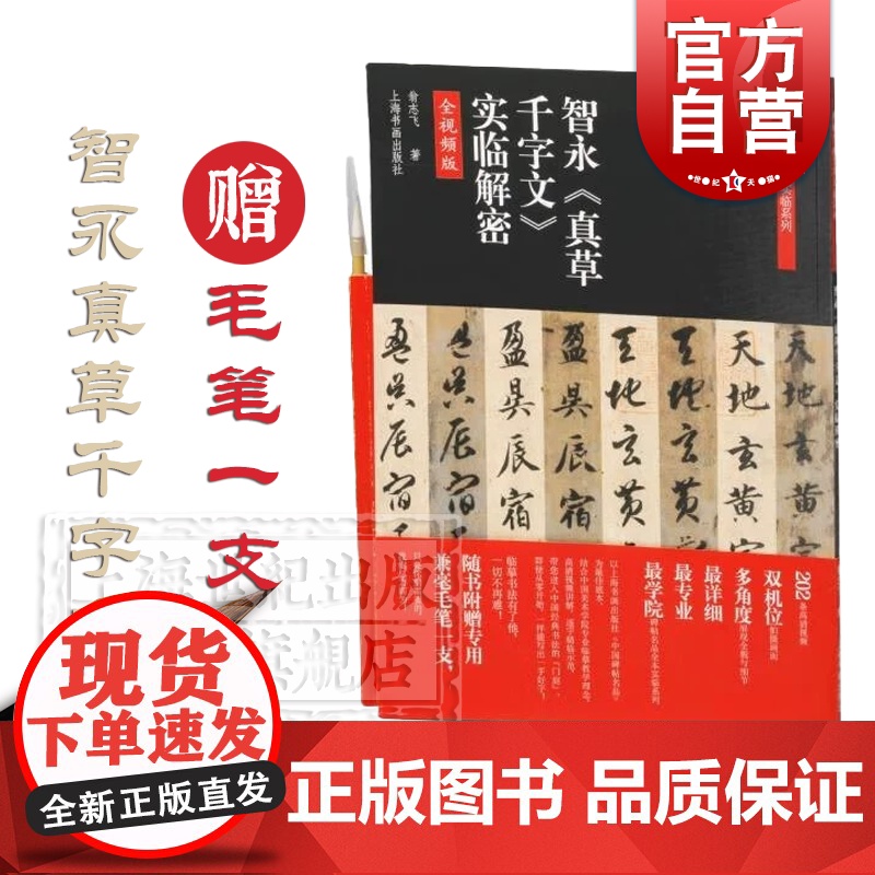 智永真草千字文实临解密 碑帖名品全本实临系列全视频版翁志飞著上海书画出版社书法艺术篆刻字帖书籍高清大图
