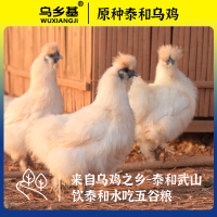 泰和乌鸡/180天(母鸡)2只装礼盒