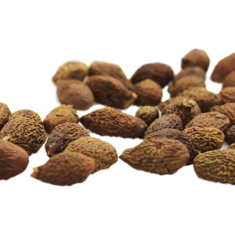 滋宁 胖大海80g/瓶胖大海茶 润喉茶饮 粒粒手工挑选 颗粒大