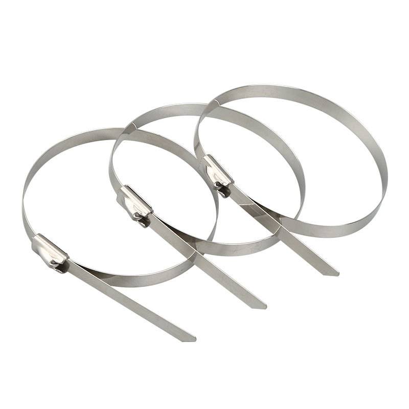 万梓 不锈钢扎带 19*2500mm 根高清大图