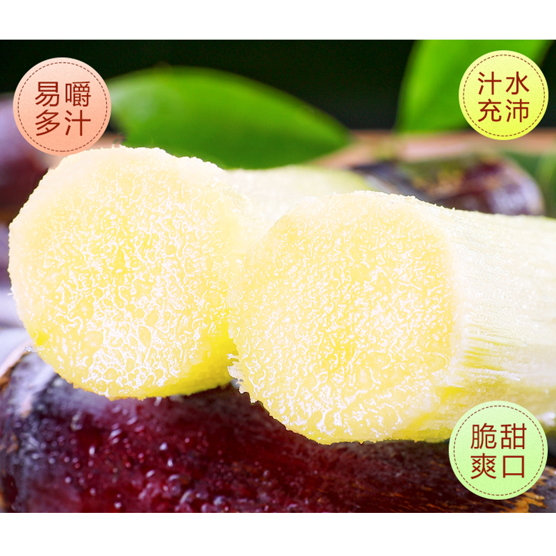[西沛生鲜]广西黑皮甘蔗 净重3斤装 当季新鲜水果 口感清甜 西沛高清大图