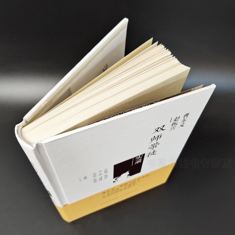 [正版]曹东义 赵振兴 双师带徒实录王红霞张培红李源马建辉吕文华等 中医临床经验中国现代医药卫生书籍中医诊断辨证论治辩