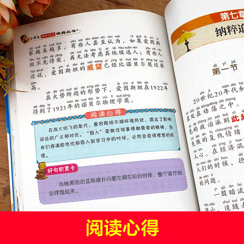 爱因斯坦传记 [正版]爱因斯坦传记注音版儿童小学生版彩图带拼音一年级二三年级科学家的故事书名人传记刘敬余主编北京教育出版高清大图