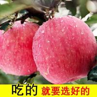 红富士苹果新鲜水果带箱9.5-10斤装大果