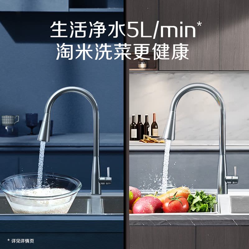 史密斯(A.O.SMITH)牌R2000DW1型双水质反渗透净水机图片