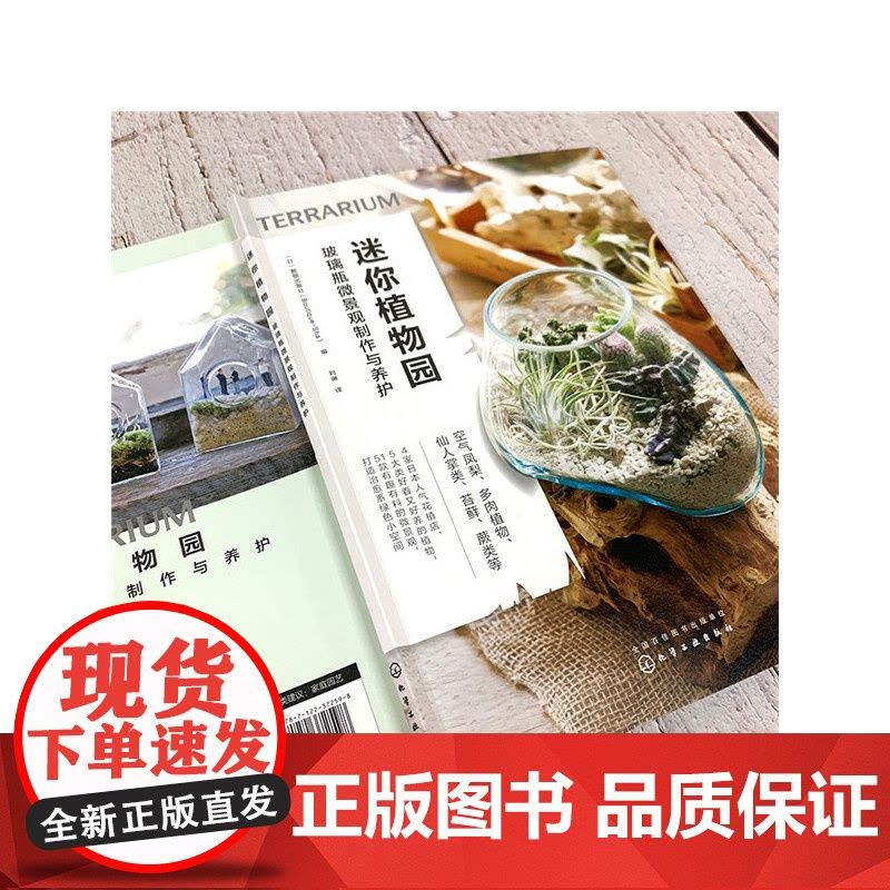 迷你植物园:玻璃瓶微景观制作与养护正版书籍图片