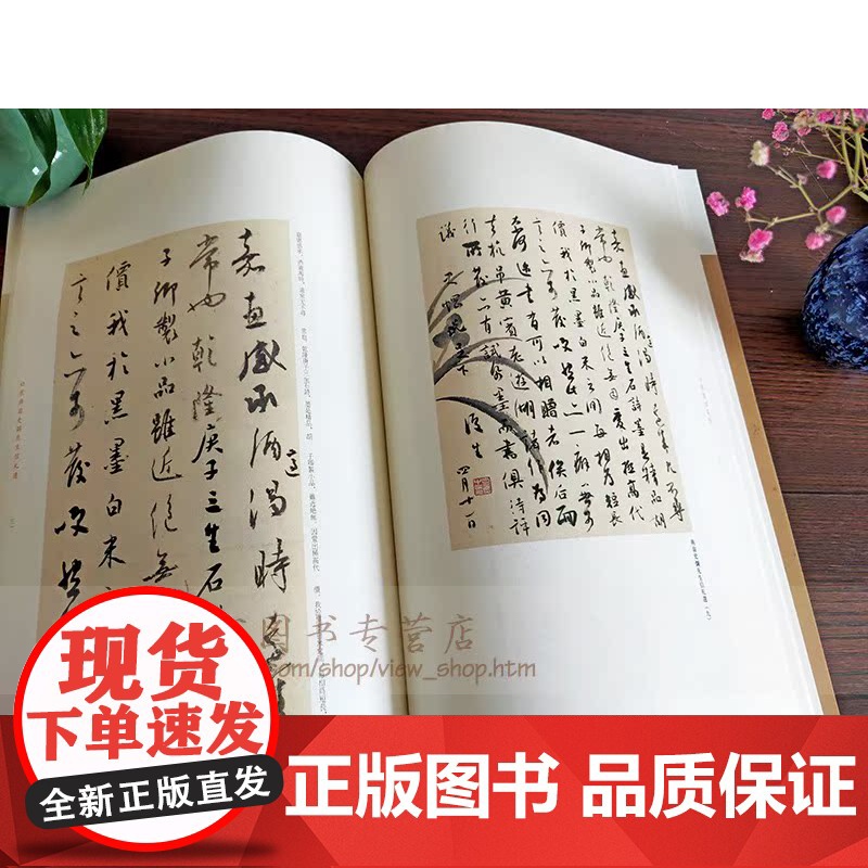 白蕉墨迹集萃四白蕉与翁史焵先生信札选本社编著繁体注释行草毛笔软笔书法字帖临摹入门初学者练字帖行草作品集 上海书画出版高清大图