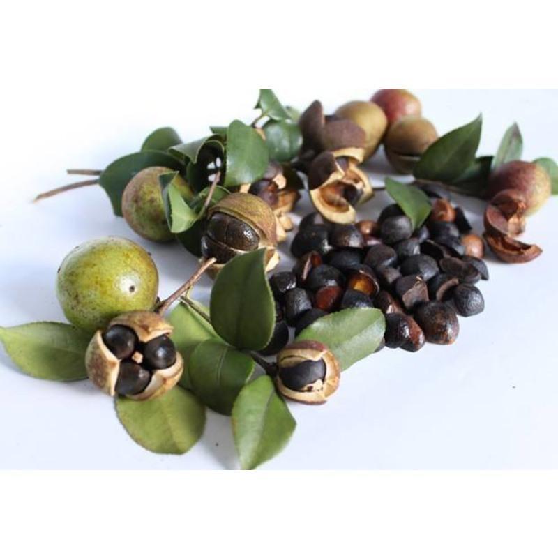 厨房洗碗布清洁抹布食用级天然茶籽粉洗碗包百洁布婍御洗碗刷