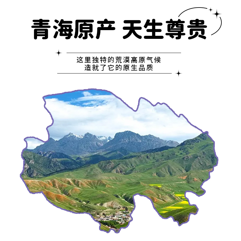 GAIMEI概美黑果枸杞冻干粉固体饮料 60瓶/盒