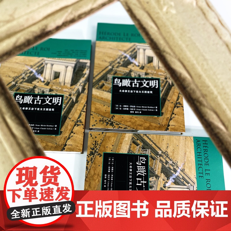 [央视网]鸟瞰古文明 重游古埃及 纵贯3000年古埃及史 古代城市遗址复原图建筑考古 建筑历史世界史收藏画册书籍 HL高清大图