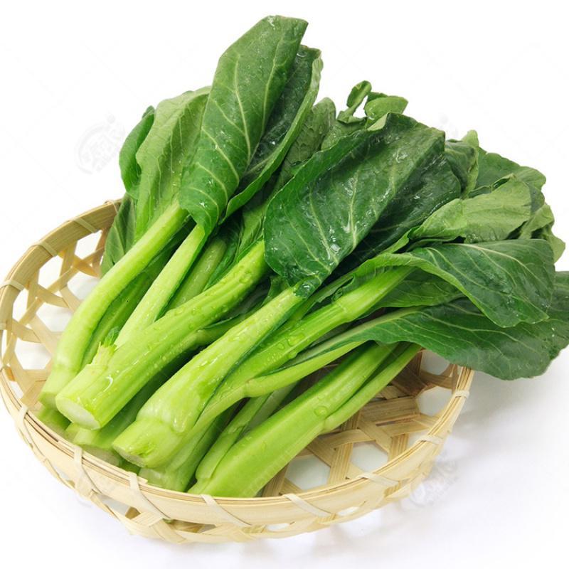 悦芳华四季种籽孑耐热菜苔阳台甜盆栽夏季秋季蔬菜广东甜菜心种子
