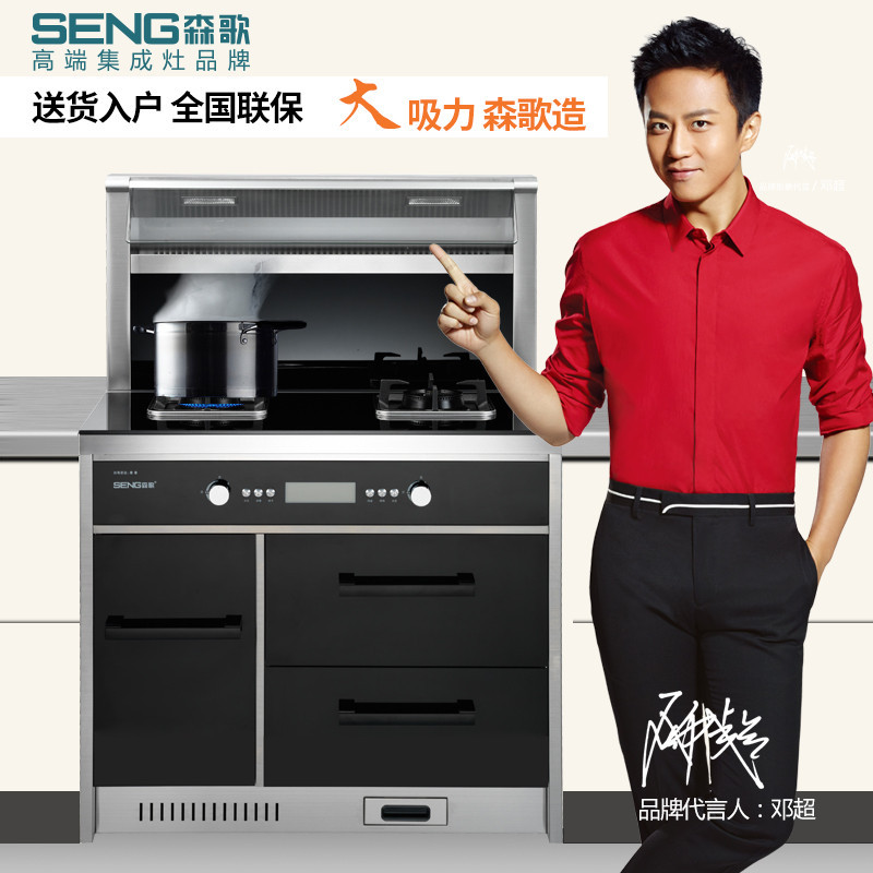 森歌/Seng集成灶Q5抽油烟机燃气灶套餐环保灶烟灶消套装 天然气/液化气