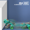 .撞击变形恐龙玩具车儿童惯性小汽车耐摔可旋转赛车男孩玩具车礼物wj