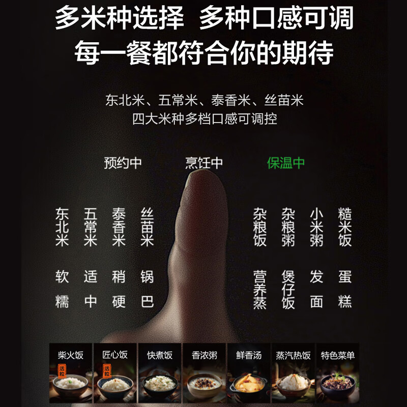 苏泊尔4L旋焰釜远红外电饭煲SF40Q12高清大图