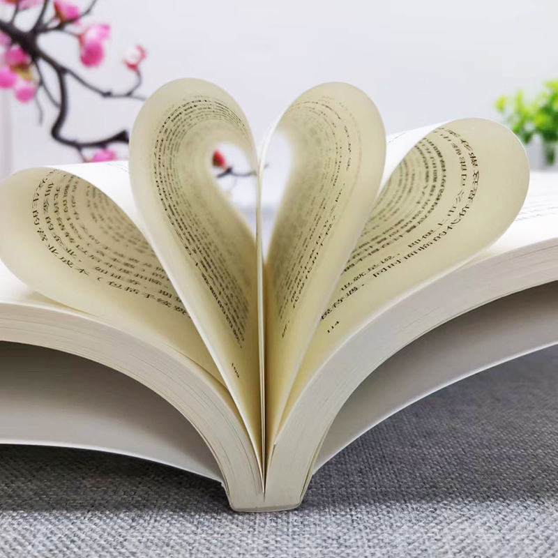 [正版]纳税的艺术 真实案例揭秘纳税高招 精准拿捏合规与降负的奇妙平衡 税务筹划技巧一网打尽 重构企业税负管理体系 优高清大图