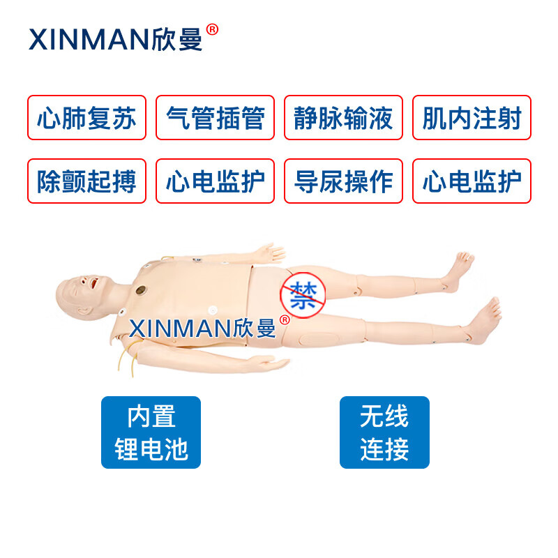 欣曼科教 高级成人全身心肺复苏及除颤模拟人 含AED自动体外模拟除颤仪 教学用人体模型 无线版XM-ALS700C高清大图