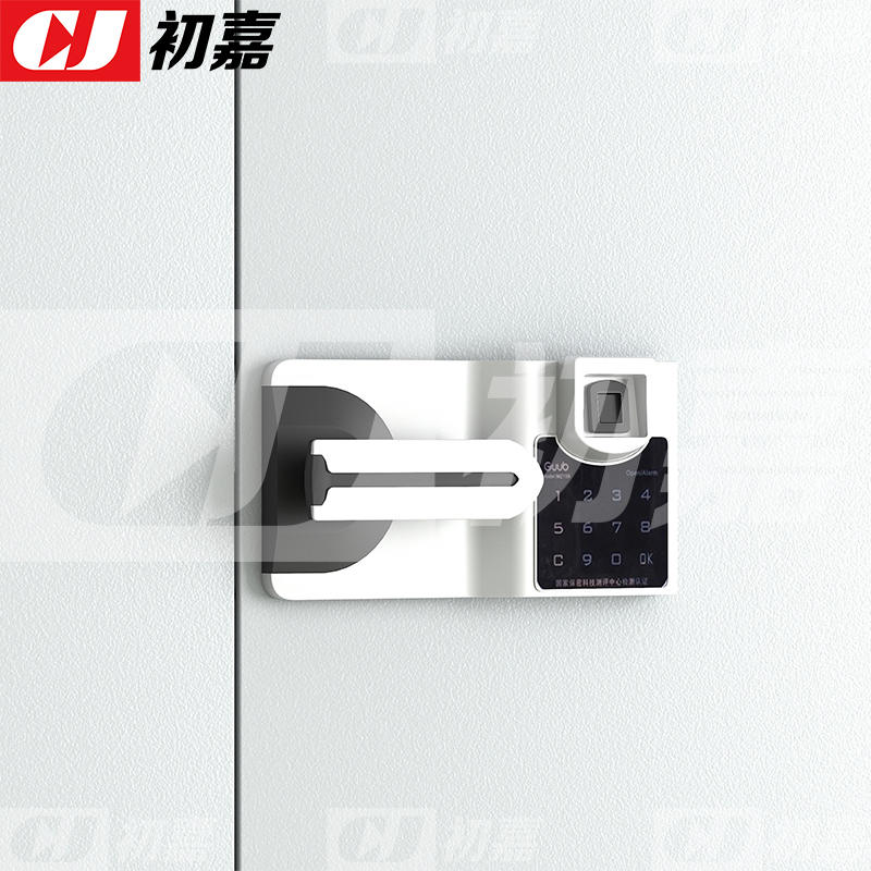 初嘉(CJ) CJ4102416 保密柜文件柜钢制密码柜办公铁皮资料柜档案柜 常规分双节智能指纹锁