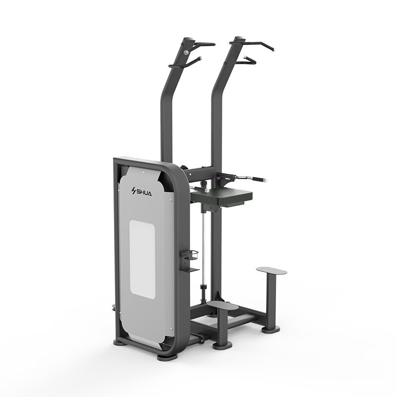 舒华 单双杠训练器 SH-G6851