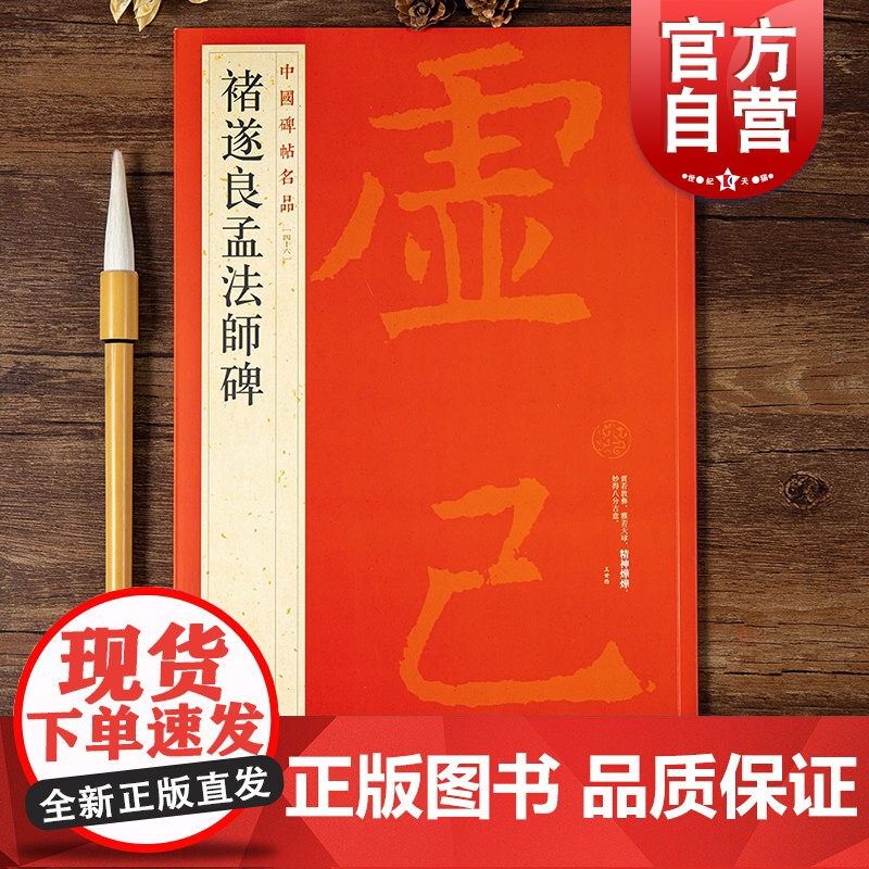 褚遂良孟法师碑 中国碑帖名品46大红袍系列碑帖释文注释繁体旁注历代优秀书法作品临摹字帖收藏鉴赏楷书毛笔字帖上海书画出版社高清大图