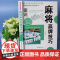 全套2册 图说麻将赢牌技巧+超级记忆术 多种实用性决胜招法休闲娱乐麻将指导胡牌大全集麻将实战入门 技法绝招胡牌必赢大全集