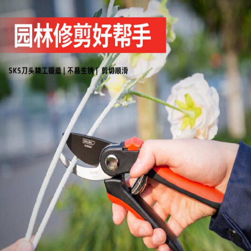得力(deli) :SK5钢刀头树枝剪园林剪修枝剪粗枝剪树枝果枝剪花木剪可剪0-20mm树枝 DL580221