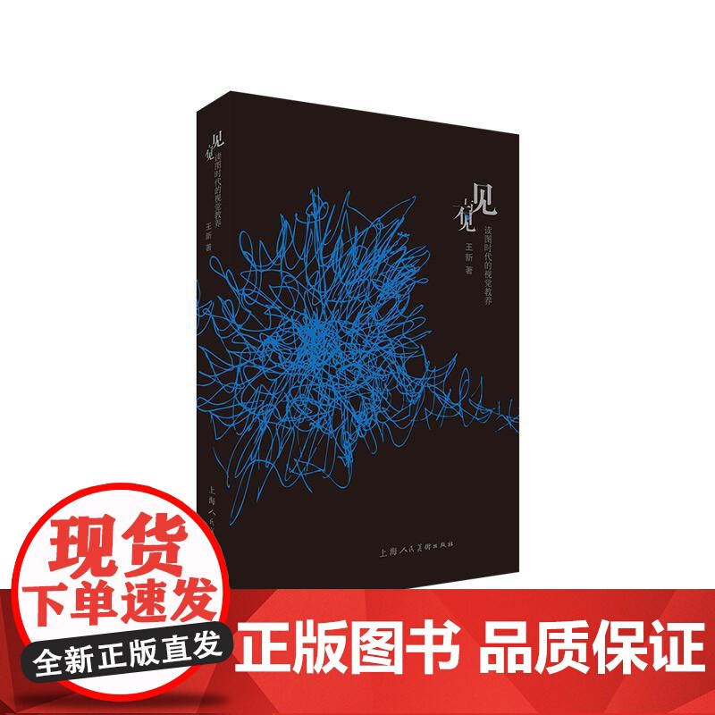 见与不见读图时代的视觉教养 王新著视觉艺术图像背后的秘密 上海人民美术出版社高清大图