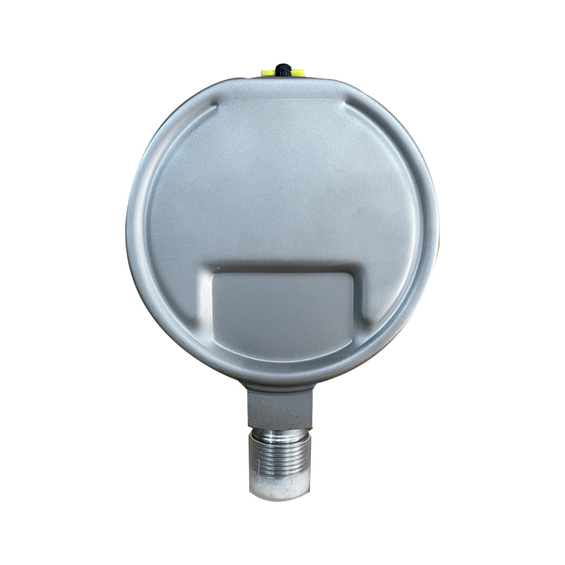 嘉禾长久 不锈钢耐温压力表检测型 Y100BF 块高清大图