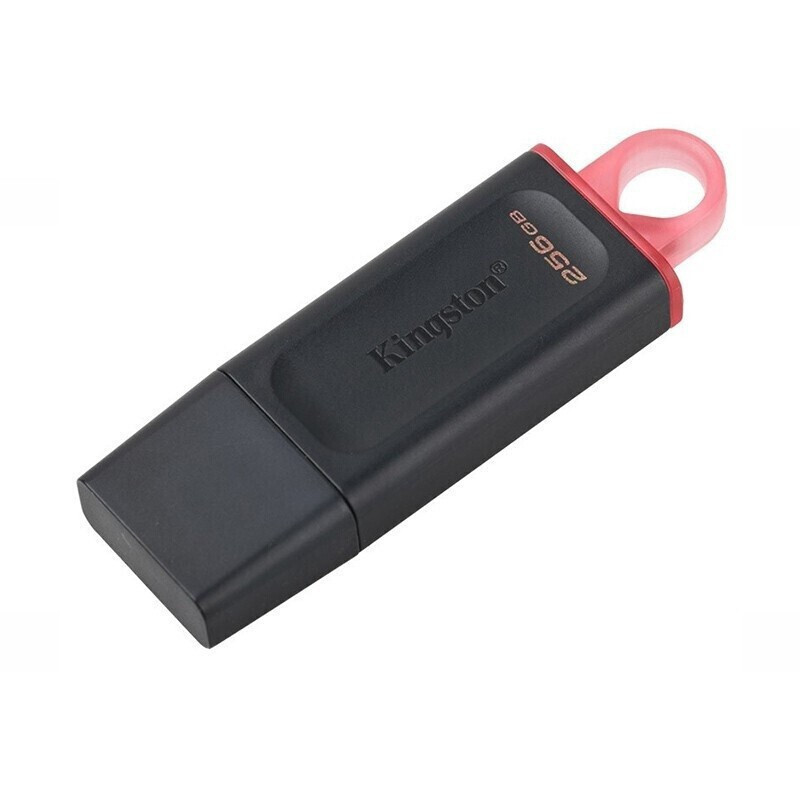 金士顿(Kingston) u盘USB3.2 Gen 1 DTX 高速 车载闪存 优盘 DTX-256GB高清大图