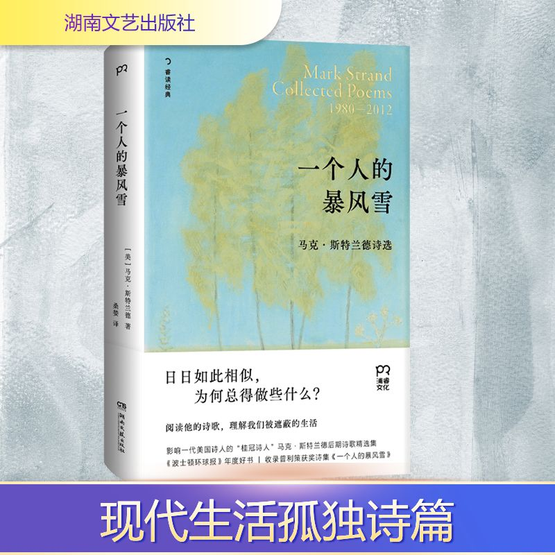 [M]一个人的暴风雪-9787572621444高清大图