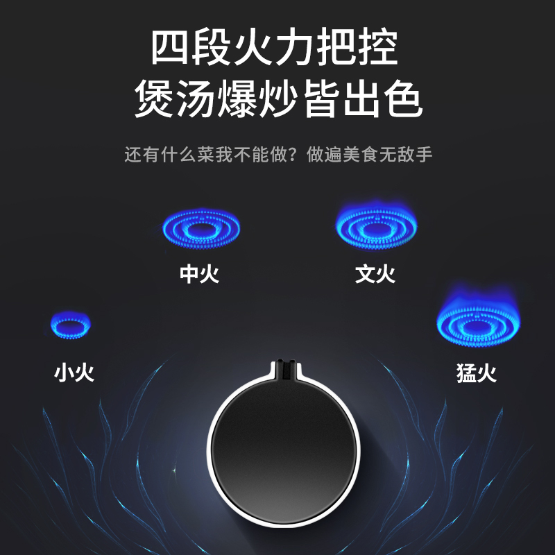 喜儿(xier) (液化气XGD01Y煤气灶单灶家用单个燃气灶天然气液化气灶嵌入式台猛火炉具(不提供安装)