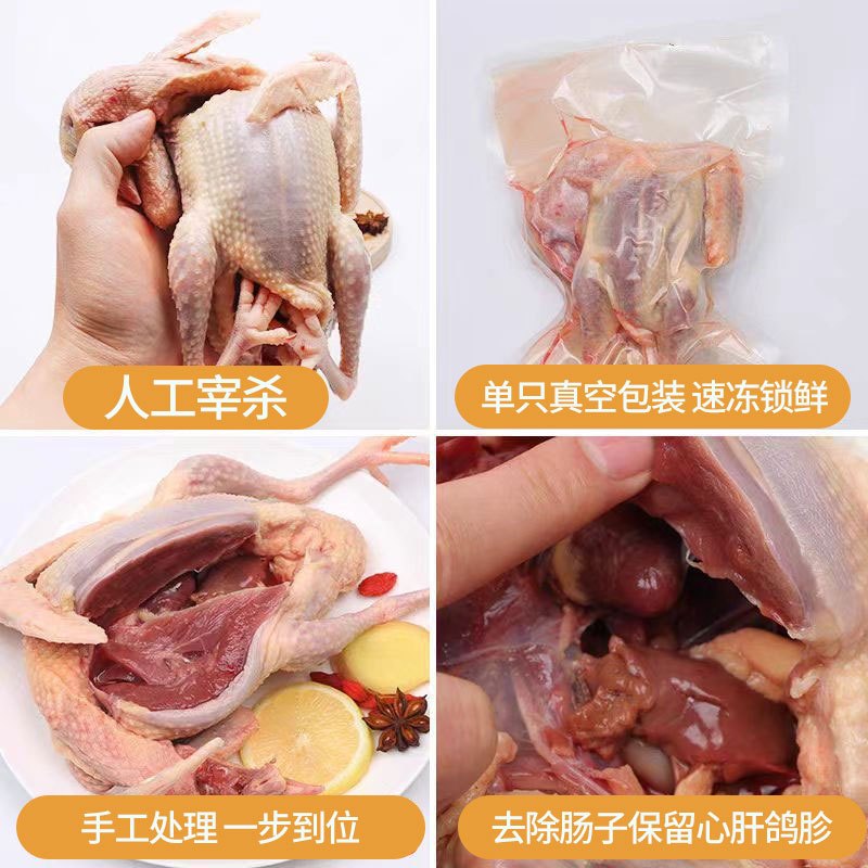 [苏鲜生推荐]雀淘 新鲜现杀乳鸽3只装 300-350g/只 原粮鸽子肉土鸽子肉鸽煲汤滋补