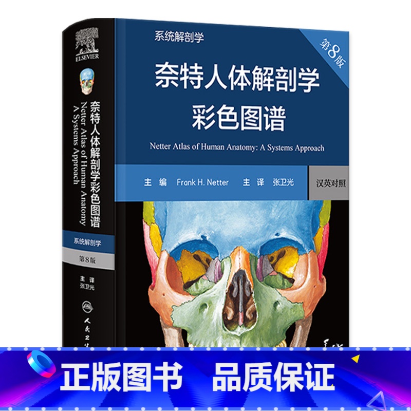 奈特人体解剖学彩色图谱:系统解剖学 [正版]奈特人体解剖学彩色图谱系统解剖学第8版神经肌肉骨骼生理学基础肌动学图鉴列车格高清大图