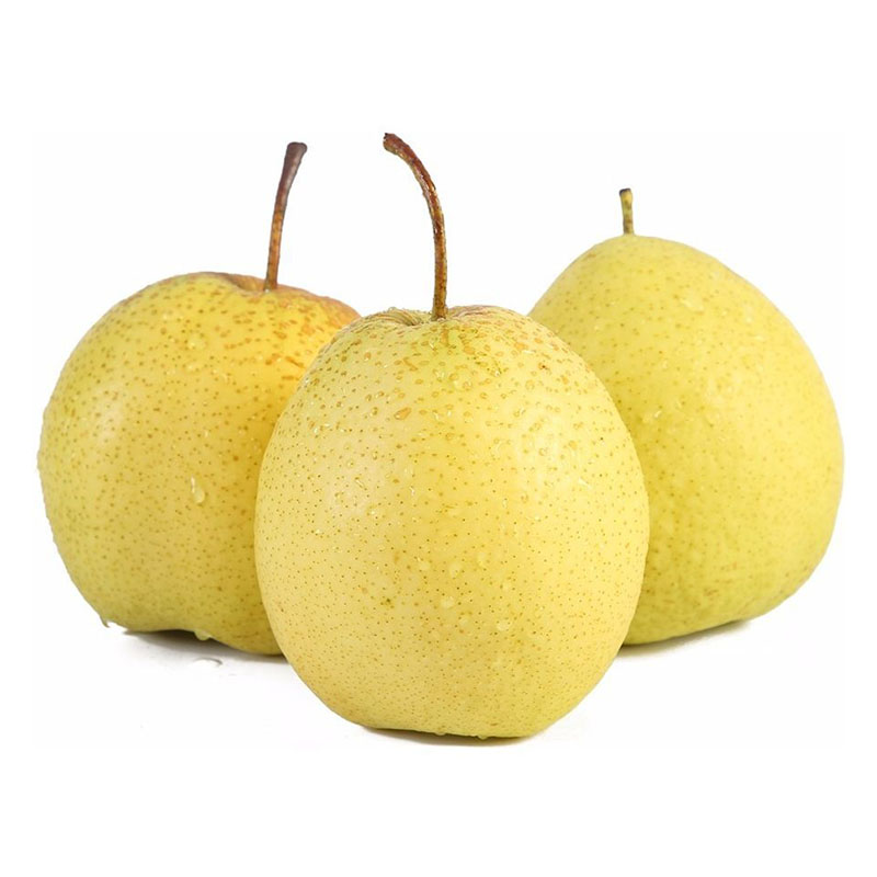 雪花梨赵县新鲜梨雪梨水果新鲜当季梨子新鲜10雪梨整箱