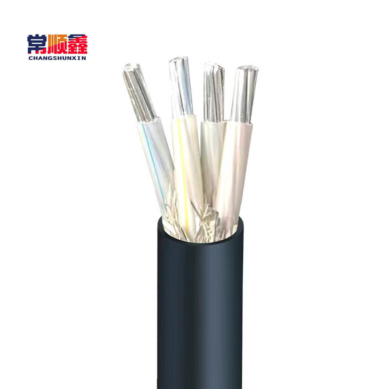 常顺鑫 低压铝芯电缆 ZC-YJLV3×10+1×6 米