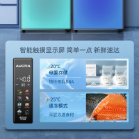 澳柯玛(AUCMA) 192升立式冷柜 冰柜冰箱 家用黄金容量 -40度深冷缩鲜 变频风冷一级节能 BD-192WPHS