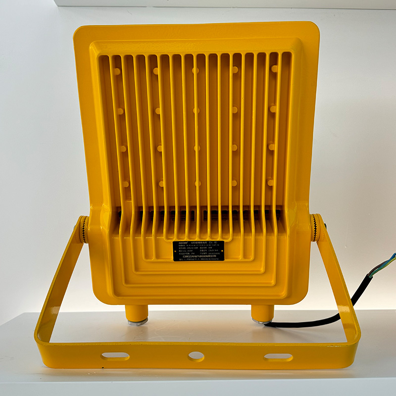 RECEN RFBL162-200W LED防爆投光灯 个高清大图