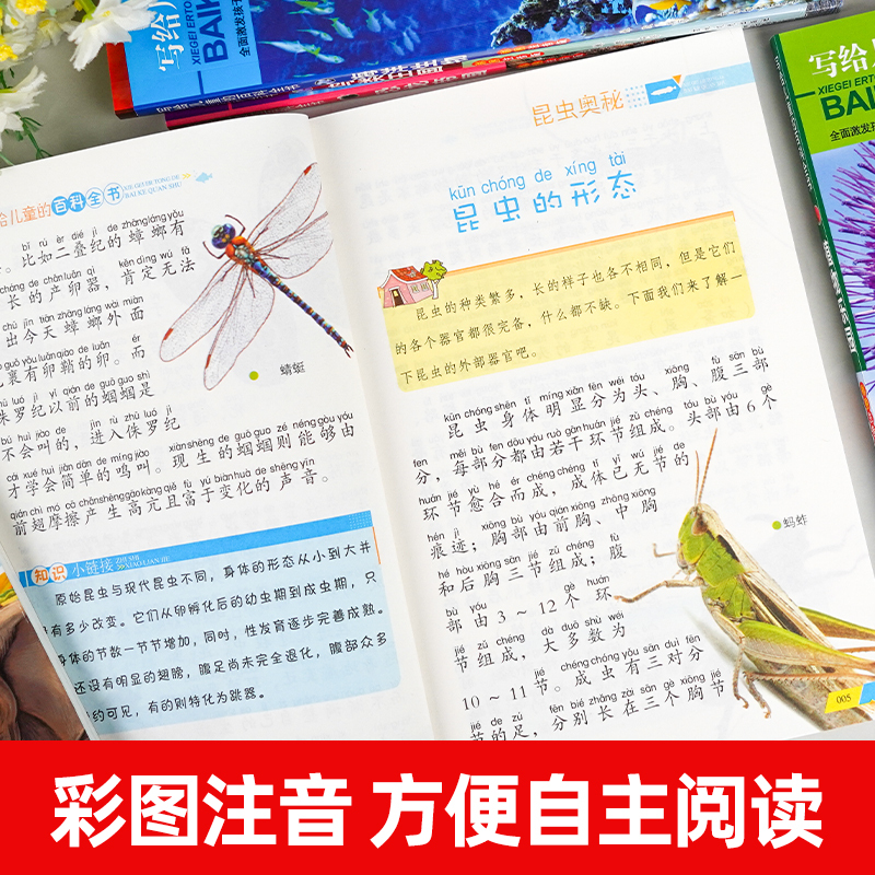 [精装硬壳]身体知识百科 [正版]写给儿童的百科全书全套6册 中国学生百科全书恐龙书籍动物世界大百科注音版少儿幼儿科普海