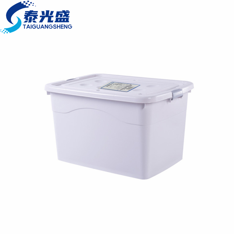 泰光盛储物箱80cm个