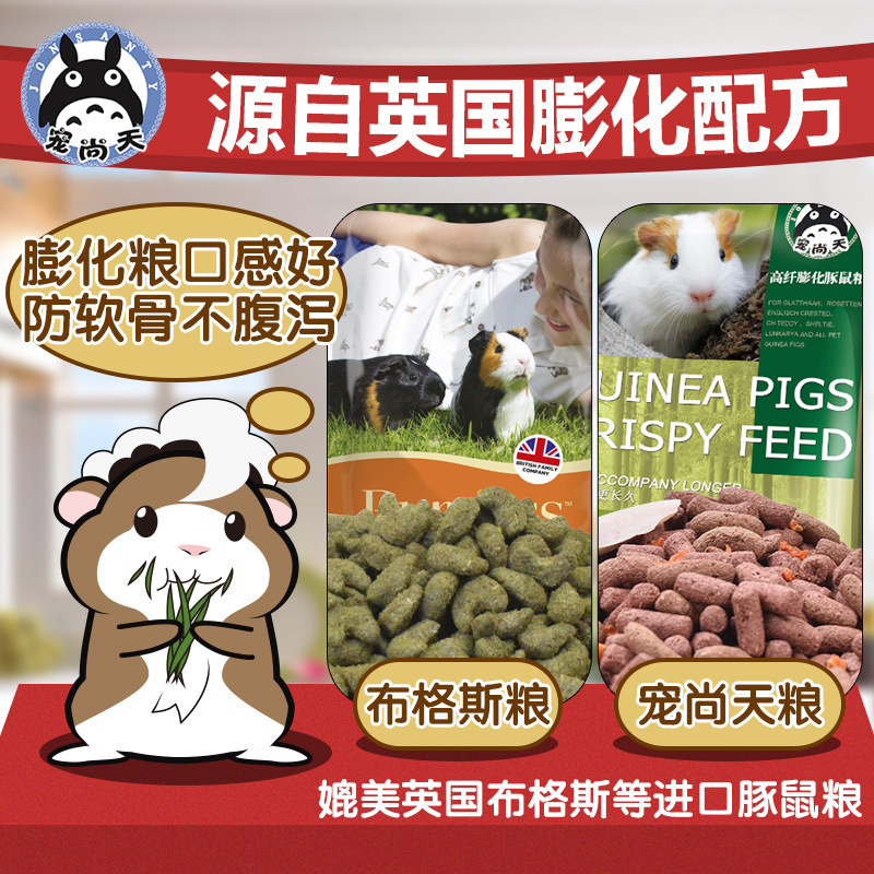 防软骨磨牙天竺鼠粮荷兰猪饲料 高纤膨化豚鼠粮2LB