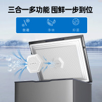 星星(XINGX)100升家用小型冷藏冷冻转换单温卧式冰柜厨房商用保鲜设备超市便利店冷柜节能微霜BD/BC-100KE