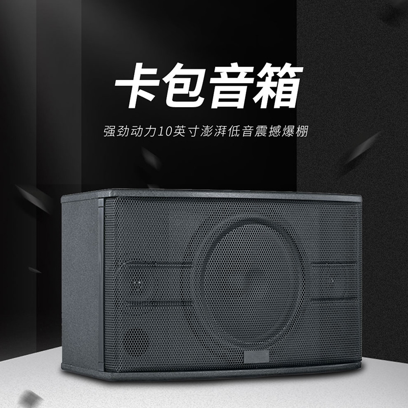 润普(Runpu)会议室展厅教室礼堂报告厅10英寸卡包音箱RP-YZ502