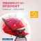 婴儿推车高景观可坐可躺轻便折叠双向全遮阳棚整车避震系统芙洛特利物浦