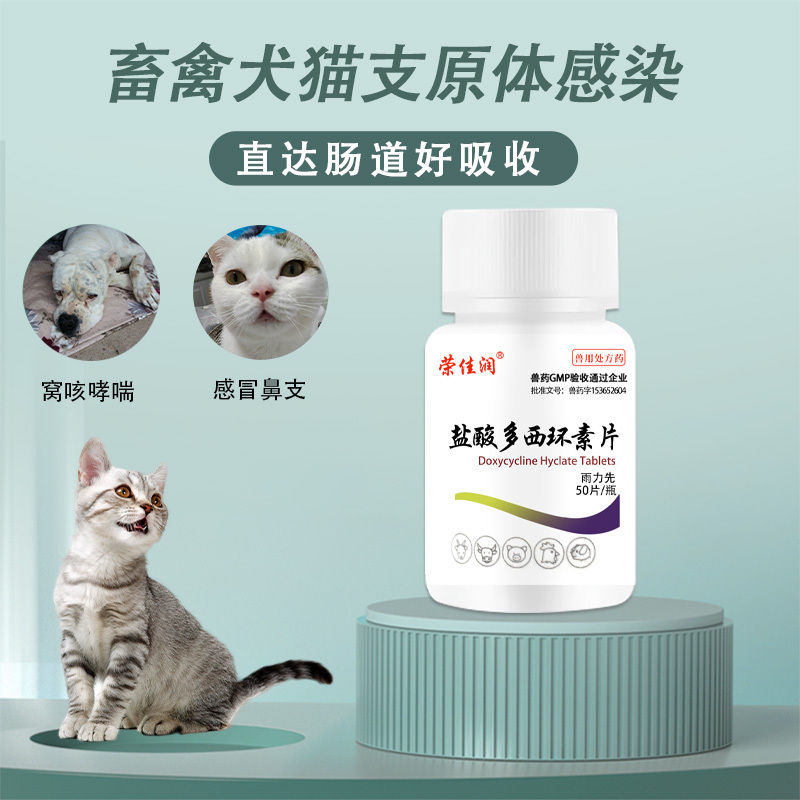 宠物感冒药盐酸多西环素片猫鼻支治疗药犬窝咳狗狗猫咪咳嗽气管炎