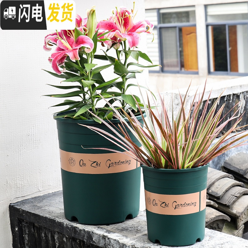 三维工匠升级加厚加仑盆绿萝多肉月季花盆塑料花盆圆口控根树脂加仑盆 [3个装]3号[单花盆] 大花盆容器