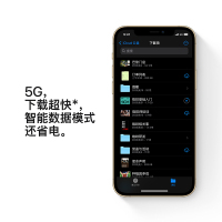 苹果（Apple）iPhone 12 Pro Max 512GB 银色 移动电信联通5G全网通 A14处理器 5G速度 瓷晶面板 不锈钢材质边框 装备激光雷达 后置三摄 5G手机