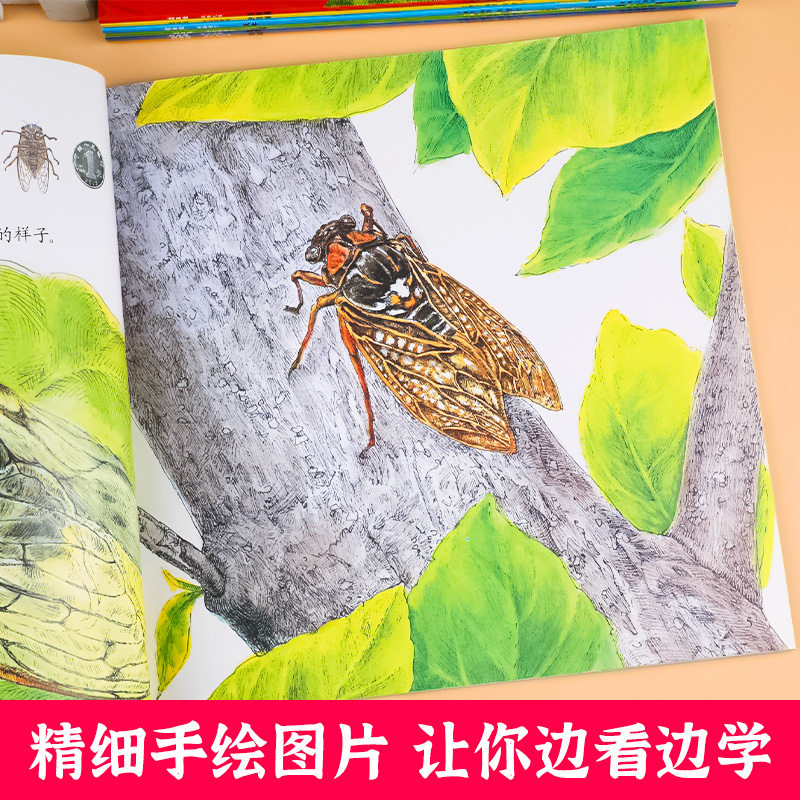 [醉染正版]中国版的法布尔昆虫记全套8册正版幼儿园绘本阅读儿童3一6岁小班中班大班昆虫系列漫画版故事书昆虫百科全书6-9高清大图